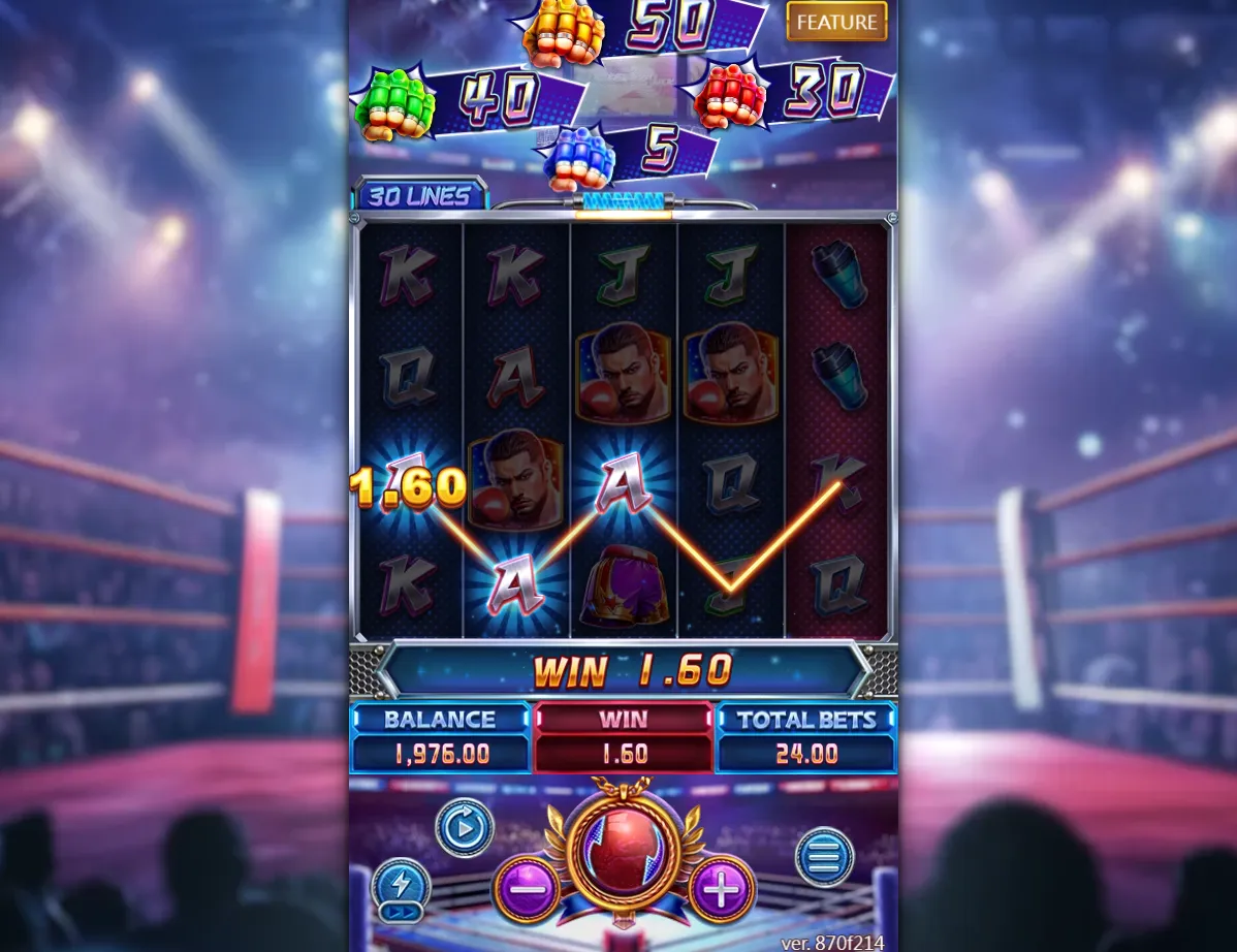 Boxing Riches